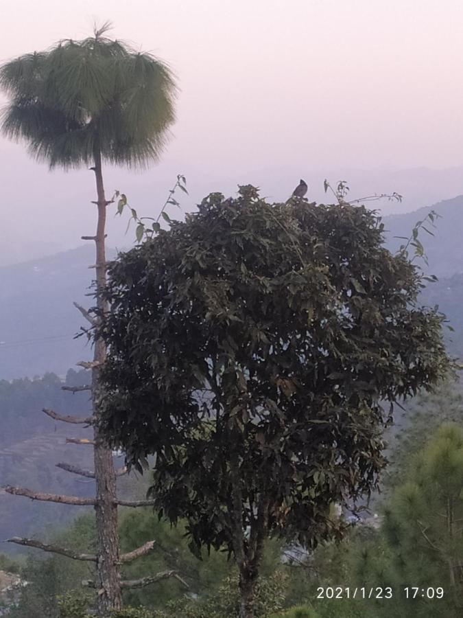 MangalMurti Himalyan Homestay Kasardevi Binsar Road Hawalbagh Dış mekan fotoğraf