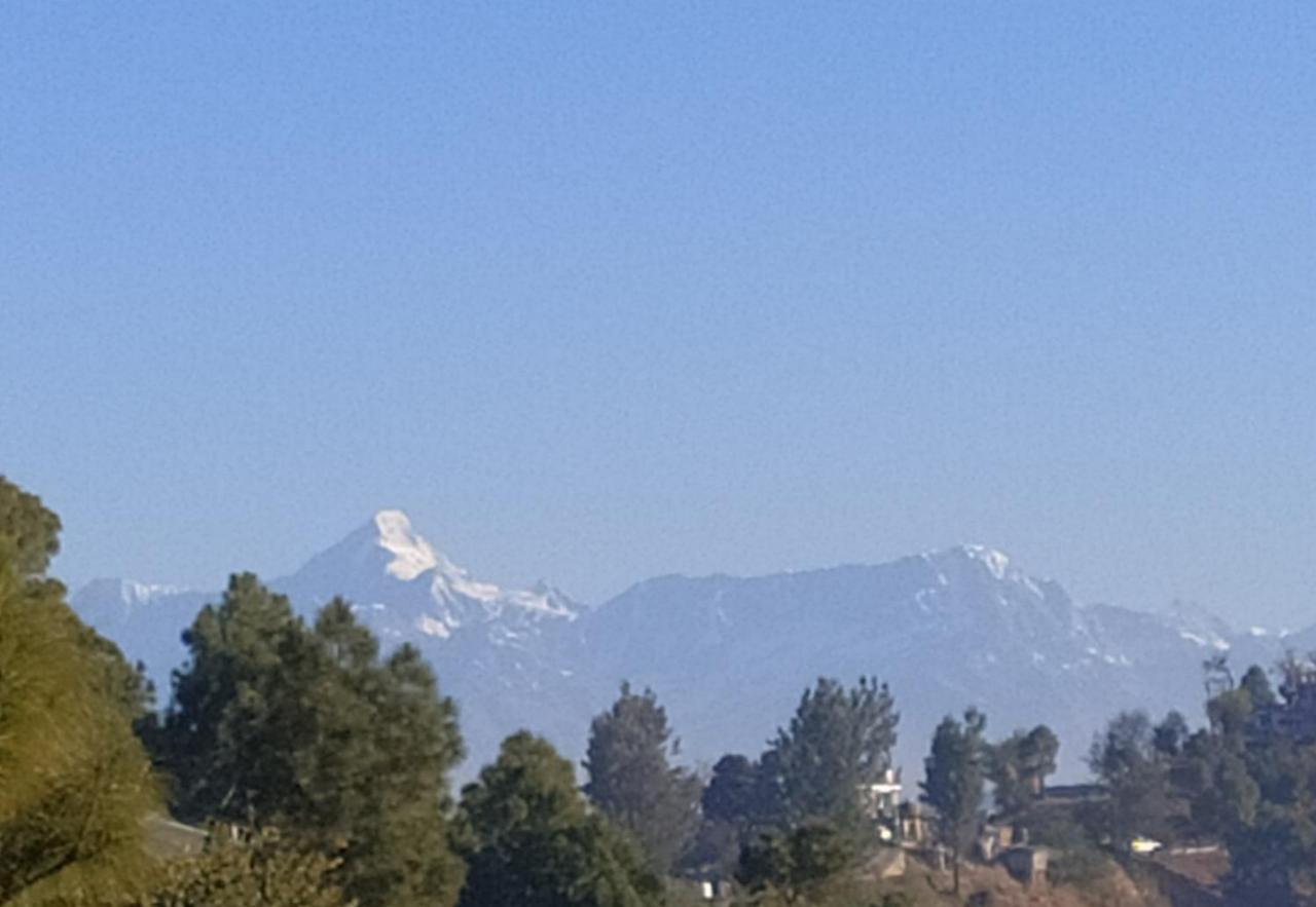 MangalMurti Himalyan Homestay Kasardevi Binsar Road Hawalbagh Dış mekan fotoğraf