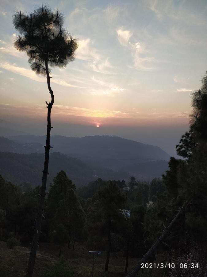 MangalMurti Himalyan Homestay Kasardevi Binsar Road Hawalbagh Dış mekan fotoğraf